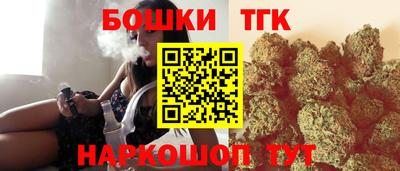 крисы Новодвинск