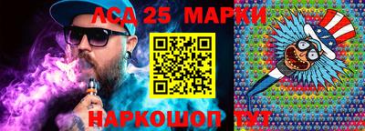 крисы Новодвинск