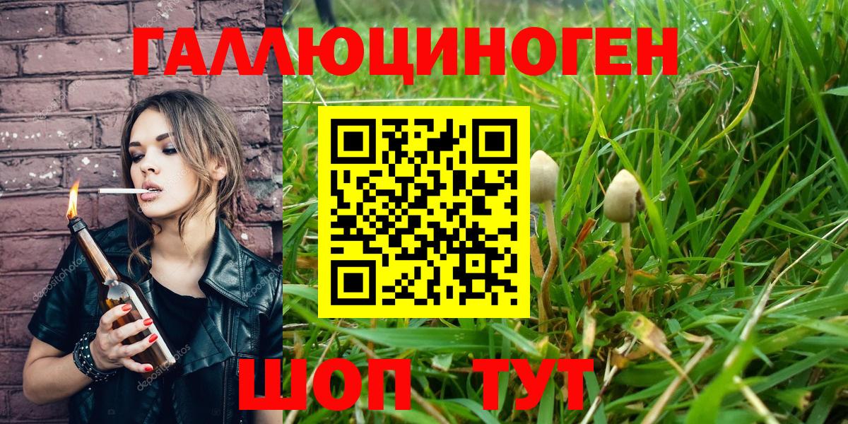 купить наркотик  Вход с VPN  Сосновый Бор  Псилоцибиновые грибы мухоморы  Псилоцибиновые грибы прущие грибы 