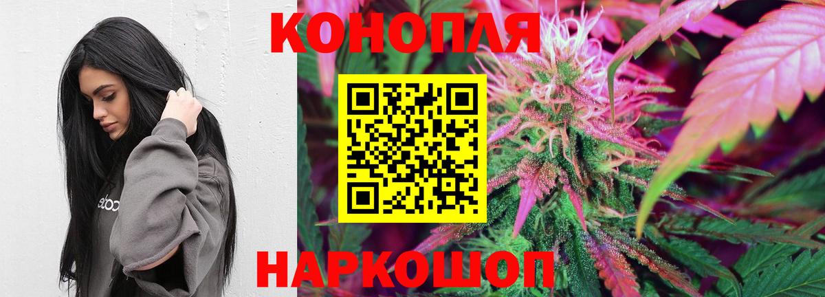 Бошки Шишки планчик  Бошки марихуана конопля  Шишки марихуана THC 21%  Вход с VPN  Сосновый Бор  Марихуана индика 